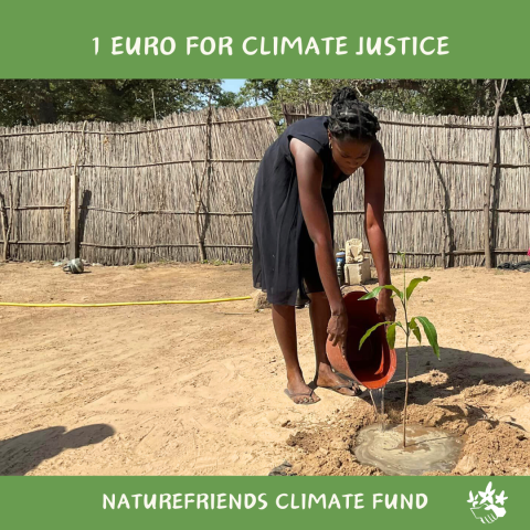 NFI Climate Fund