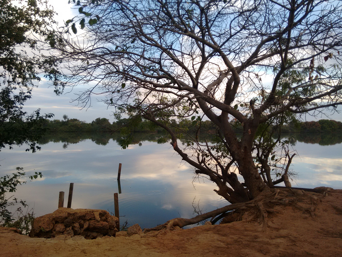 Gambia River, Jane Smith