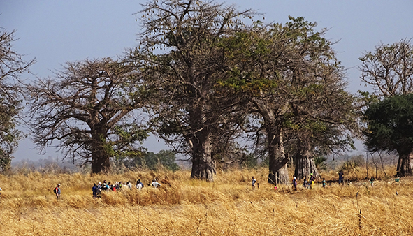 Landschaft des Jahres Senegal/Gambia/Michael Leutgeb