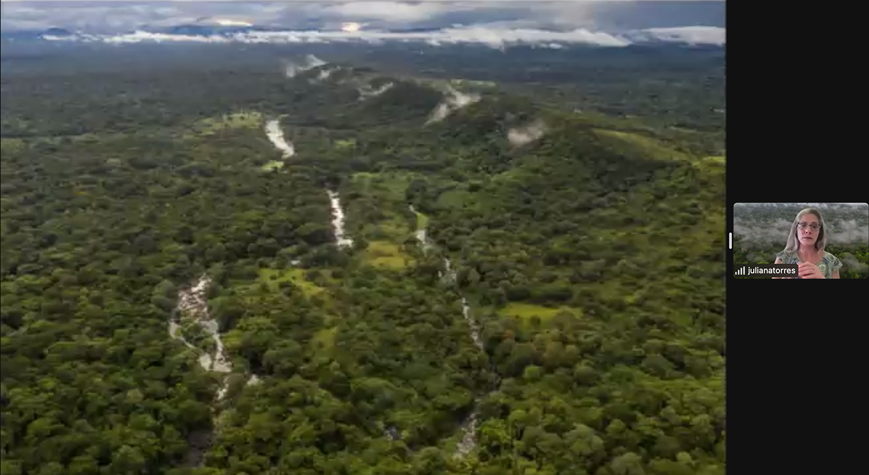 Gespächszyklus Brasilien