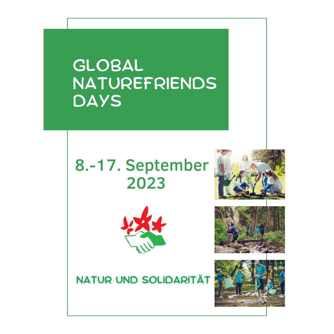 NF Global Days