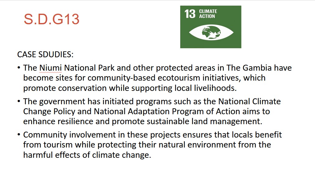 SDG 13