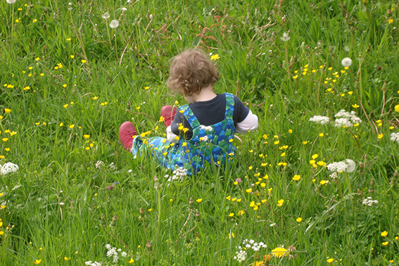 Kind in Blumenwiese