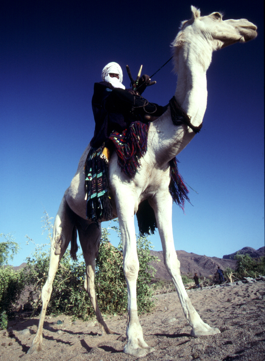 Tuareg