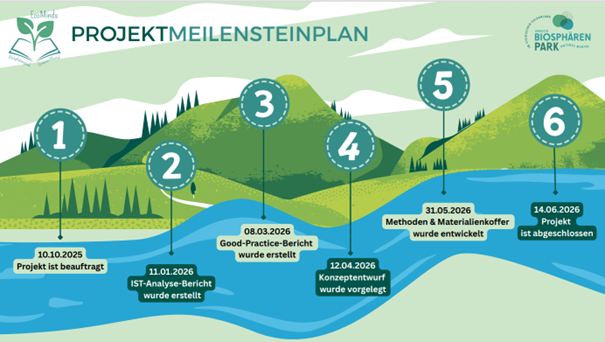 Projektmeilensteinplan
