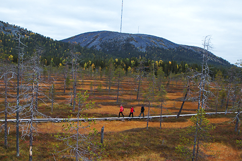 Walking in Finland