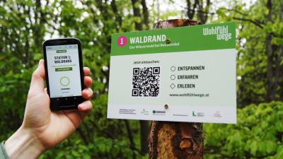 Schild der Wohlfühlwege im Wald mit QR code