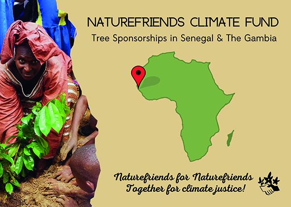 Tree sponsorships NF Climate Fund