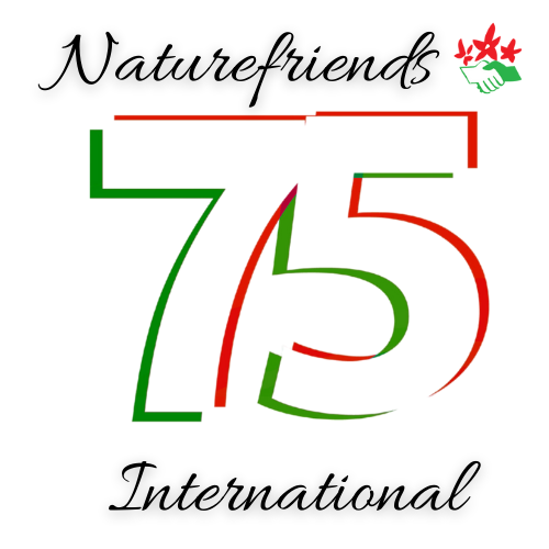 Logo 75 ans IAN