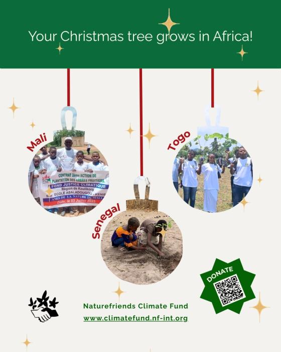 Votre arbre de Noël pousse en Afrique ! Ensemble pour plus de justice climatique !