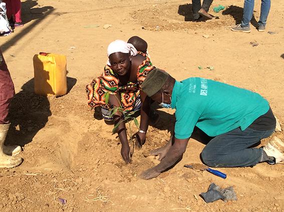 1,000 trees for Senegal (Photo: ASAN)