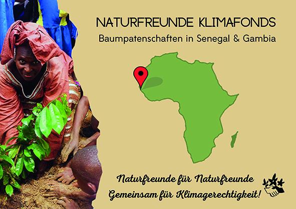 Baumpatenschaften NF Klimafonds Baumpatenschaften NF Klimafonds