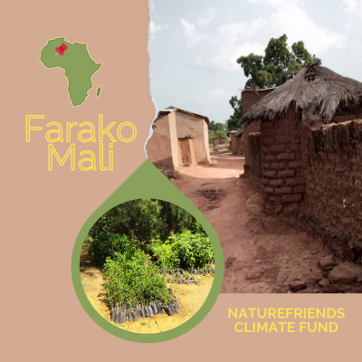 NFI Klimafonds NFI Klimafonds