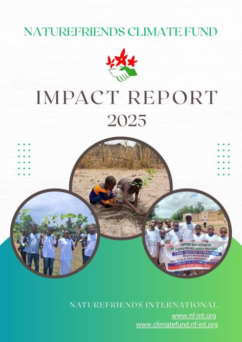 Climate Fund Impact Report 2025
