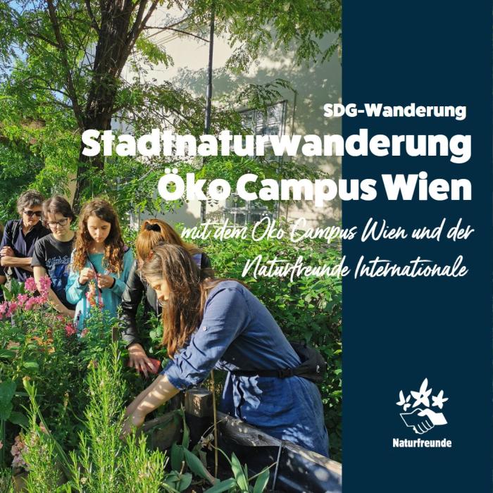 Insektensuche im Garten des Öko Campus Wien (c) NFI