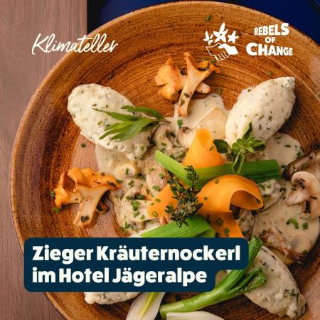 Zieger Kräuternockerl