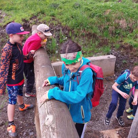 Die Kinder wandern fleißig mit (c) Ernst Schützinger