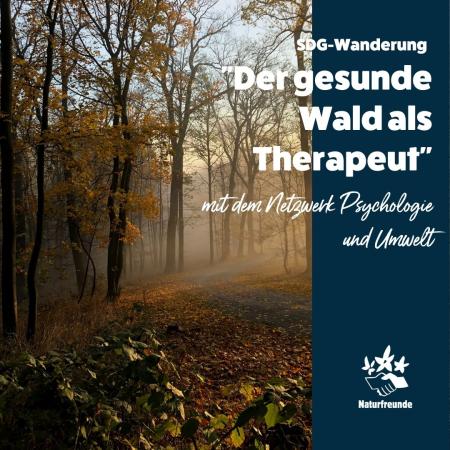 Der gesunde Wald als Therapeut