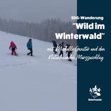 Wild im Winterwald