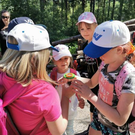 Borkenkäfer unter die Lupe genommen (c) NFI