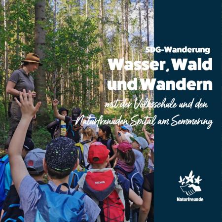 Wasser, Wald und Wandern (c) NFI