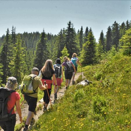 Aufstieg der Wandergruppe