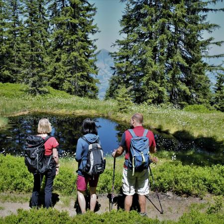 Wandergruppe blickt auf das Moor