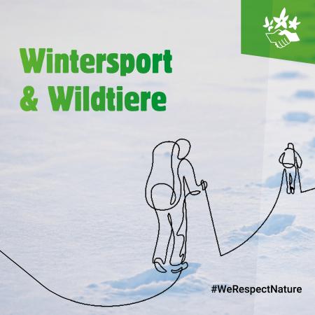 Kampagnenfoto "Wintersport und Wildtiere"