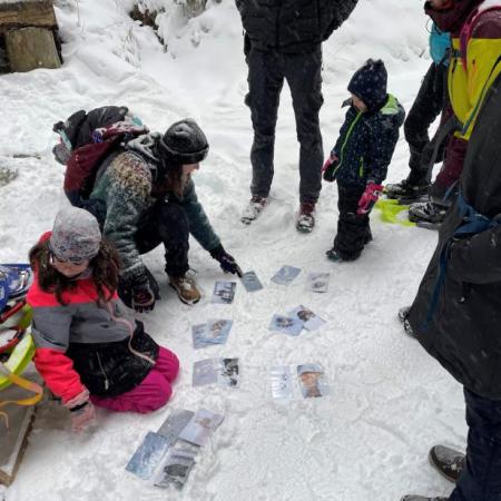 Auf der Suche nach den richtigen Tierspuren im Schnee mithilfe von Lernkärtchen