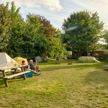 Terrain de camping sur le site