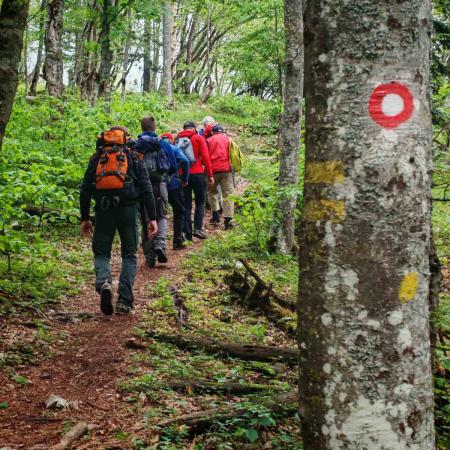 Hikers during the study visit on a hiking trail in serbia, TRAILS Project