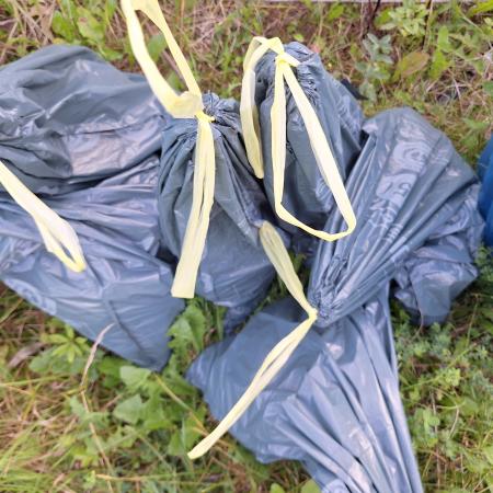 Ungfähr 10kg Müll wurde gefunden und aufgesammelt.