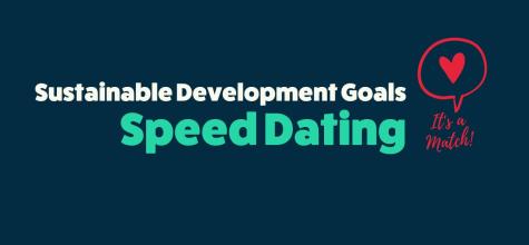 Abbildung Sustainable Development Goals für das SDG-Speed Dating