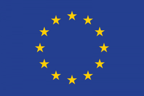 EU Logo