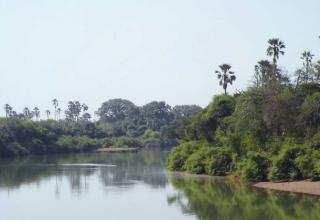 Lanschaftsbild mit Flussgebiet Gambia